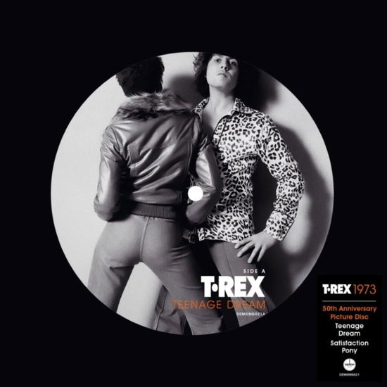 Teenage Dream (50th Anniversary) (Picture Disc) - T. Rex - Música - DEMON RECORDS - 5014797909182 - 26 de janeiro de 2024