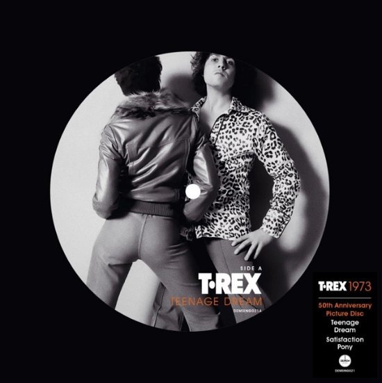Cover for T. Rex · Teenage Dream (50th Anniversary) (Picture Disc) (LP) [Picture Disc edition] (2024)