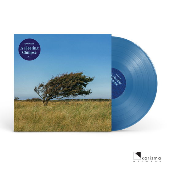 A Fleeting Glimpse (Blue Vinyl) - Bjorn Riis - Musiikki - KARISMA RECORDS - 7090008313182 - perjantai 30. syyskuuta 2022