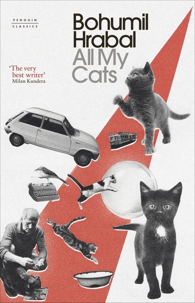 Cover for Bohumil Hrabal · All My Cats (Gebundenes Buch) (2019)