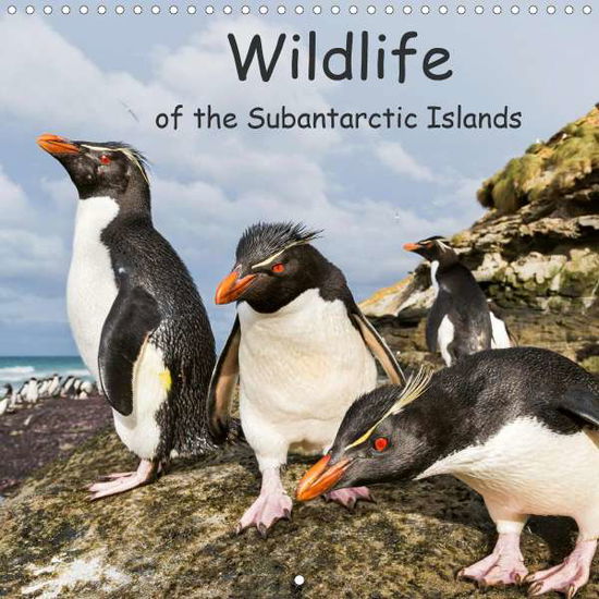 Cover for Zwick · Wildlife of the Subantarctic Isla (Bok)