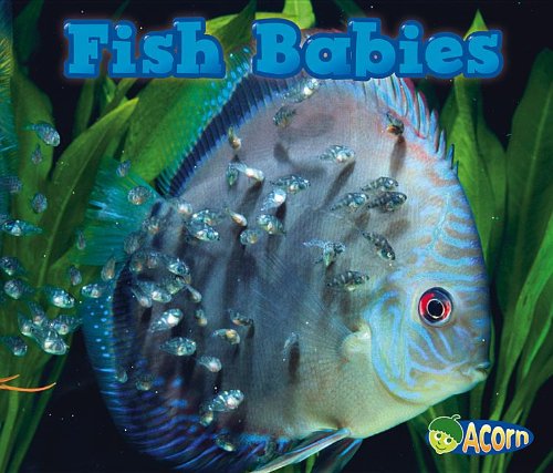 Cover for Catherine Veitch · Fish Babies (Animal Babies) (Paperback Book) (2013)