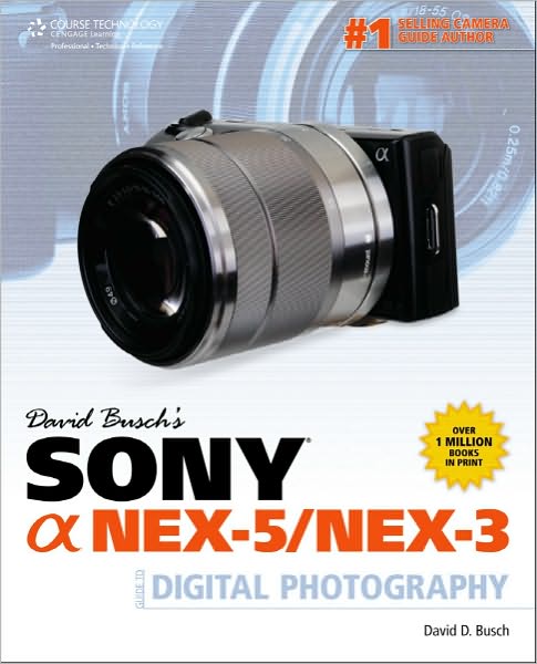 Cover for David Busch · David Busch's Sony Alpha NEX-5/NEX-3 Guide to Digital Photography (Paperback Book) [International edition] (2010)