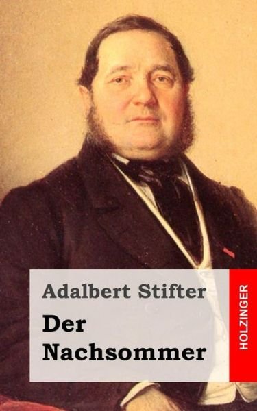 Cover for Adalbert Stifter · Der Nachsommer (Paperback Bog) (2013)