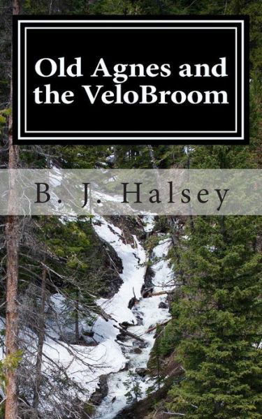 Cover for B J Halsey · Old Agnes and the Velobroom: an Introduction to Whyrde (Paperback Book) (2014)