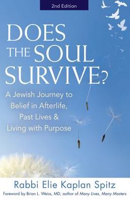 Cover for Kaplan Spitz, Elie (Rabbi Elie Kaplan Spitz) · Does the Soul Survive?: A Jewish Journey to Belief in Afterlife, Past Lives &amp; Living with Purpose (Paperback Book) [2 Revised edition] (2015)