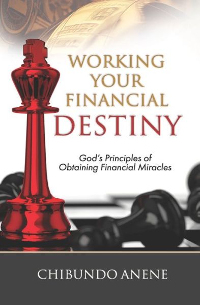 Cover for Chibundo Anene · Working Your Financial Destiny (Paperback Book) (2019)