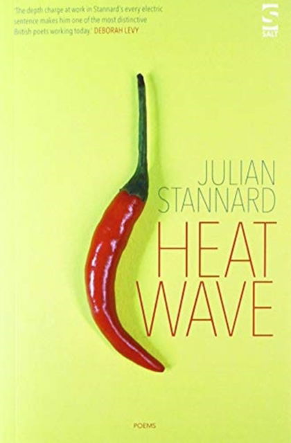 Cover for Julian Stannard · Heat Wave - Salt Modern Poets (Paperback Book) (2020)