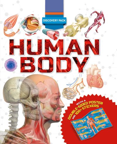 Cover for Clare Hibbert · Discovery Pack: Human Body (Hardcover Book) (2019)