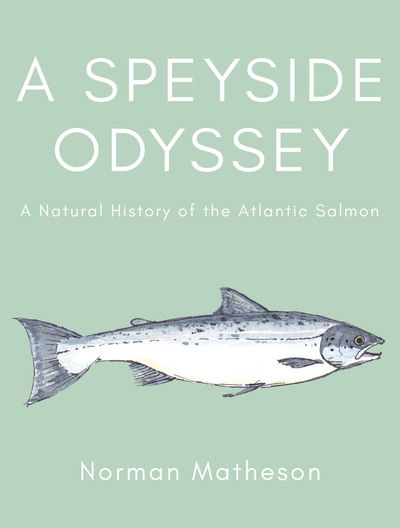 Cover for Norman Matheson · A Speyside Odyssey: A Natural History of the Atlantic Salmon (Hardcover Book) (2019)