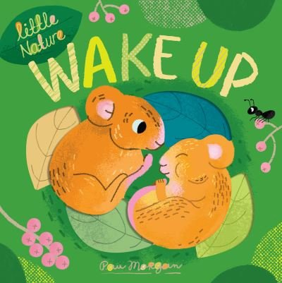 Cover for Isabel Otter · Wake Up - Little Nature (Board book) (2021)