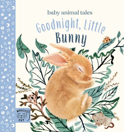 Cover for Amanda Wood · Goodnight, Little Bunny: A book about being brave - Baby Animal Tales (Board book) (2021)