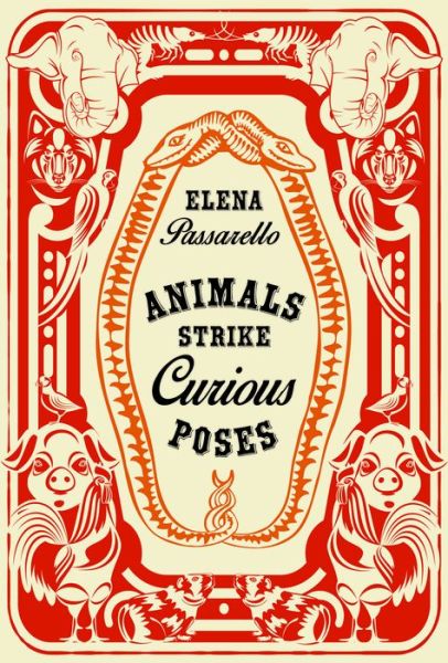 Cover for Elena Passarello · Animals Strike Curious Poses (Paperback Book) (2022)