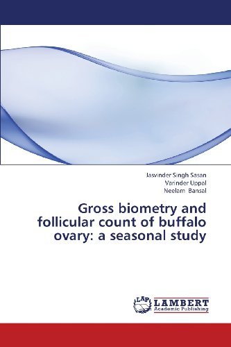 Cover for Neelam Bansal · Gross Biometry and Follicular Count of Buffalo Ovary: a Seasonal Study (Paperback Bog) (2013)