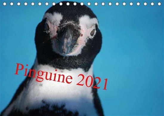 Cover for Groos · Pinguine 2021 (Tischkalender 2021 (Bog)