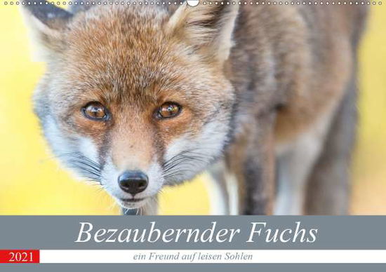 Bezaubernder Fuchs - ein Freund a - Petzl - Kirjat -  - 9783672210182 - 