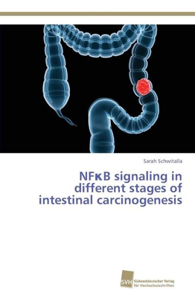 Cover for Schwitalla Sarah · Nf B Signaling in Different Stages of Intestinal Carcinogenesis (Paperback Book) (2013)