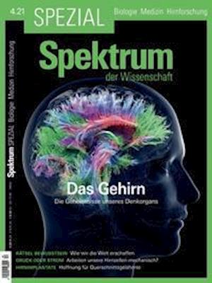 Cover for Spektrum D. Wissenschaft · Spektrum Spezial - Das Gehirn (Paperback Book) (2021)