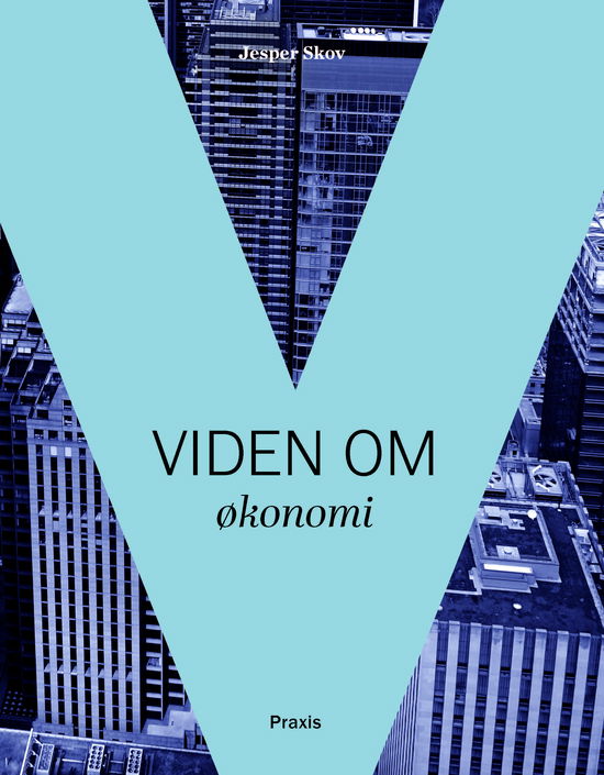 Cover for Jesper Skov · Viden om økonomi (Sewn Spine Book) [1st edition] (2025)