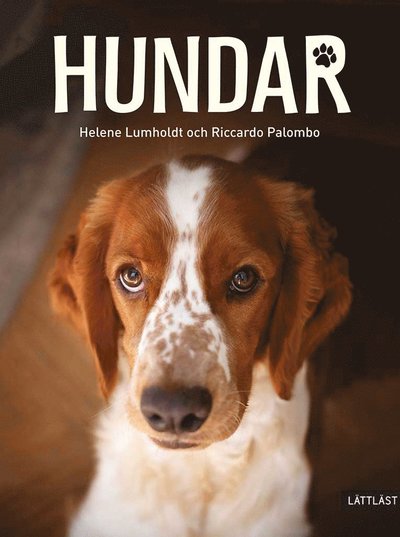 Cover for Helene Lumholdt · Hundar (Hardcover Book) (2022)