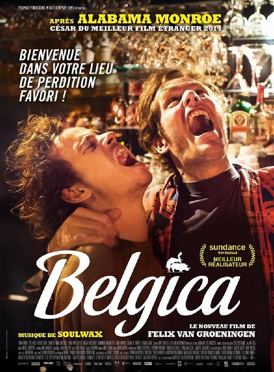 Belgica - Felix Van Groeningen - Films - FRANCE TELEVISION - 3333297301183 - 