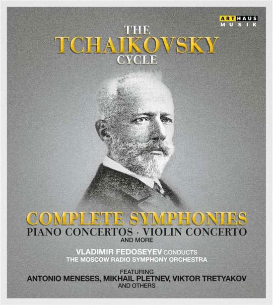 Cover for Tchaikovsky / Nenadovsky / Pletnev /tretyakov · Tchaikovsky Cycle (DVD) (2017)