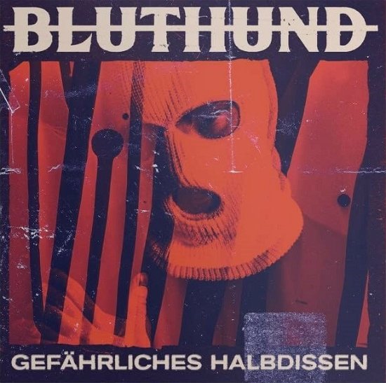 Cover for Bluthund · Gefahrliches Halbdissen (LP) (2022)