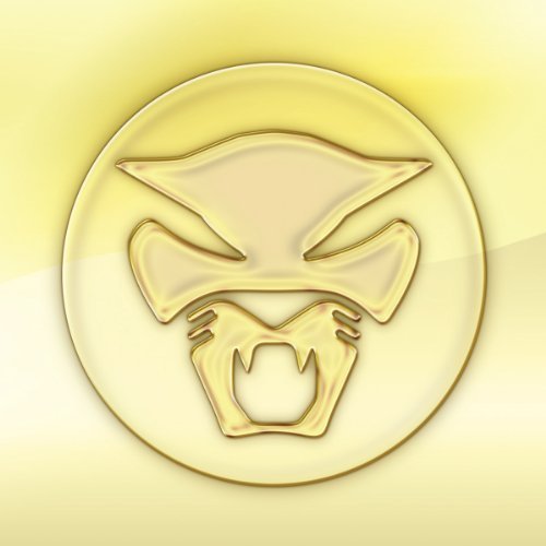 Cover for Thundercat · Golden Age of Apocalypse (LP) [Standard edition] (2011)