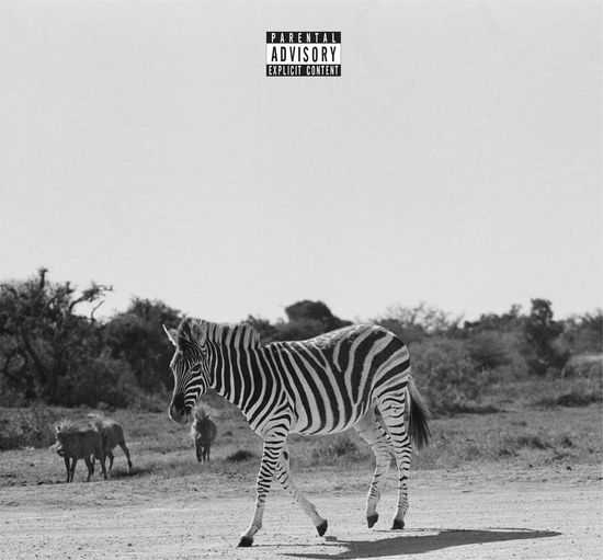 Cover for Louis Vi · Earthling (LP) [Coloured edition] (2023)