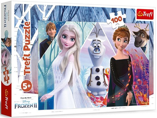 Disney: · Puzzle 100 - Frozen - Enchanted Land (MERCH)