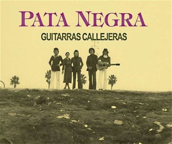 Cover for Pata Negra · Guitarras Callejeras (LP) (2021)