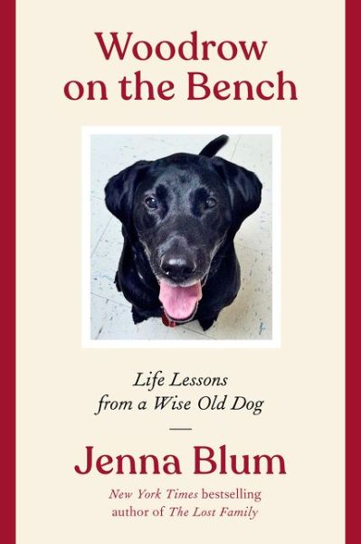 Cover for Jenna Blum · Woodrow on the Bench: Life Lessons from a Wise Old Dog (Hardcover Book) (2021)