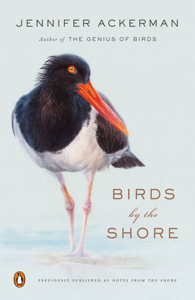 Birds by the Shore: Observing the Natural Life of the Atlantic Coast - Jennifer Ackerman - Books - Penguin Publishing Group - 9780143134183 - May 7, 2019