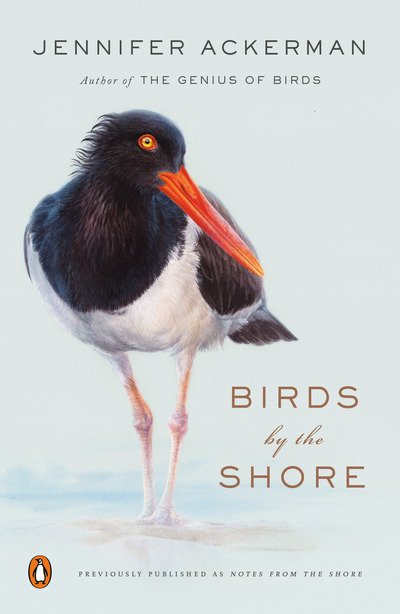 Cover for Jennifer Ackerman · Birds by the Shore: Observing the Natural Life of the Atlantic Coast (Paperback Bog) (2019)