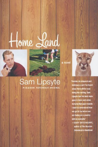 Cover for Sam Lipsyte · Home Land: a Novel (Pocketbok) (2005)