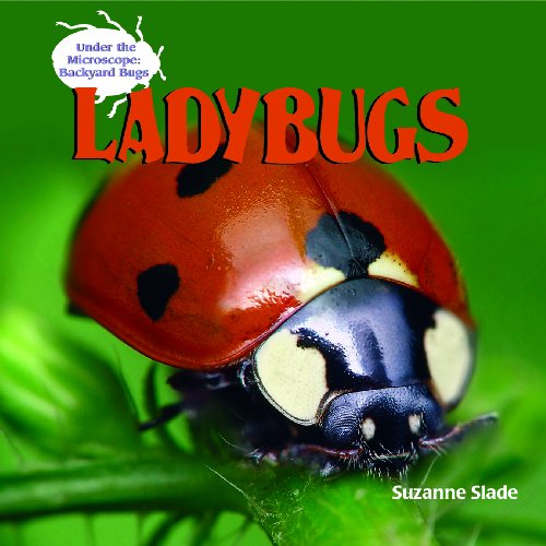 Cover for Suzanne Slade · Ladybugs (Under the Microscope: Backyard Bugs) (Hardcover Book) (2007)