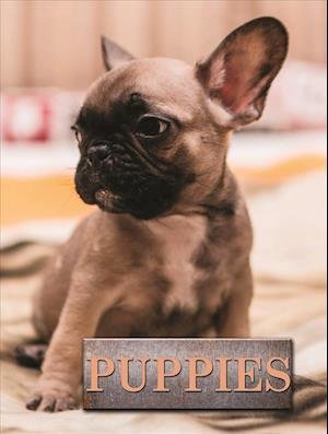 Cover for Marcus Schneck · Puppies - Pet Library (Hardcover Book) (2019)