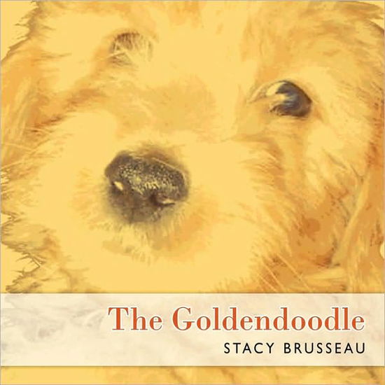 Cover for Stacy Brusseau · The Goldendoodle (Paperback Book) (2009)