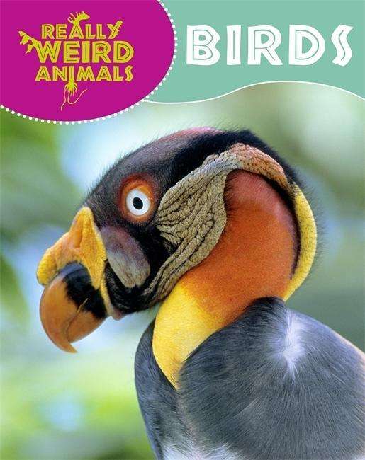 Really Weird Animals: Birds - Really Weird Animals - Clare Hibbert - Books - Hachette Children's Group - 9781445138183 - February 26, 2015