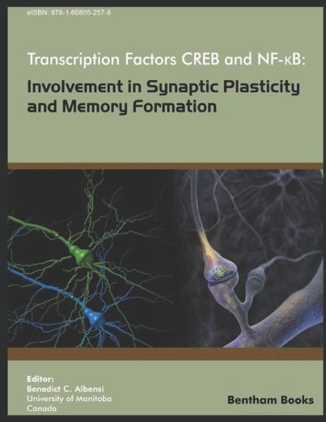 Cover for Benedict C Albensi · Transcription Factors CREB and NF-KB (Paperback Book) (2018)