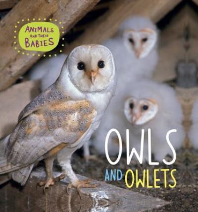 Cover for Annabelle Lynch · Owls and Owlets (Hardcover Book) (2017)