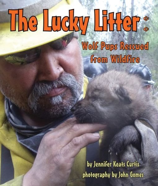 Cover for Jennifer Keats Curtis · The Lucky Litter: Wolf Pups Rescued from Wildfire (Innbunden bok) (2015)