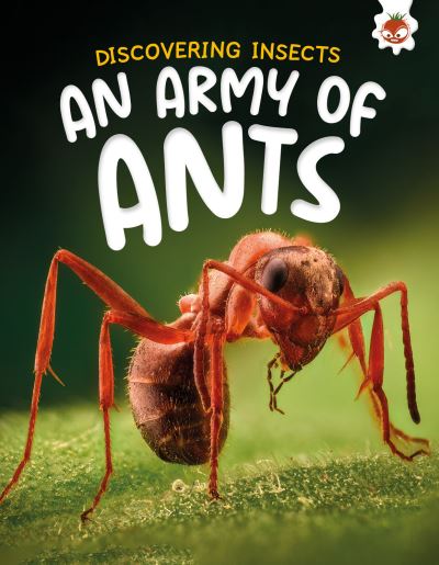 Cover for Rebecca Storm · Discovering Insects: An Army of Ants - Discovering Insects (Pocketbok) (2025)