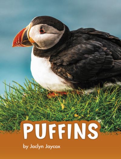 Cover for Jaclyn Jaycox · Puffins (Hardcover Book) (2020)