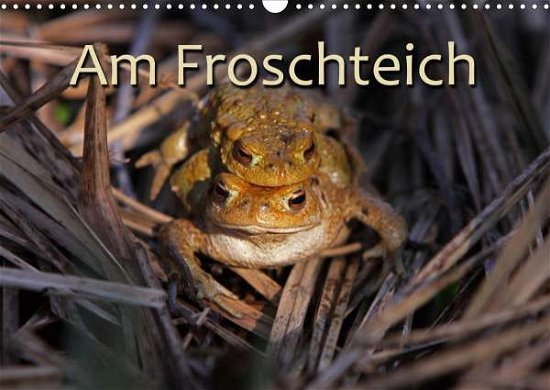 Cover for Berg · Am Froschteich (Wandkalender 2021 (Book)