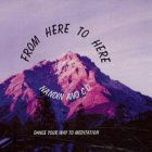 Cover for Nandin · From Here to Here (CD) (2005)