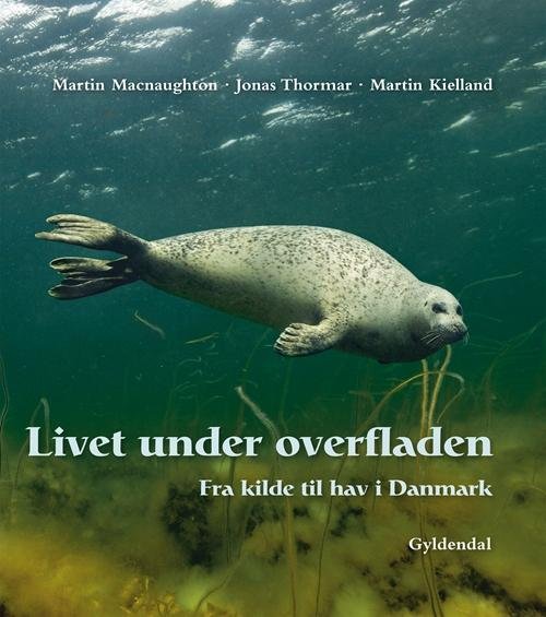 Cover for Martin Macnaughton; Jonas Thormar; Martin Kielland · Livet under overfladen (Innbunden bok) [2. utgave] (2015)