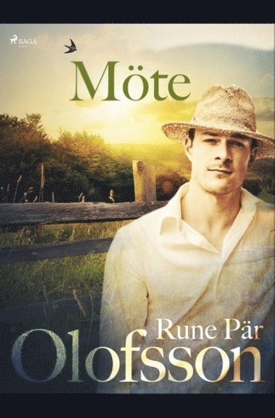 Cover for Rune Pär Olofsson · Möte (Buch) (2019)