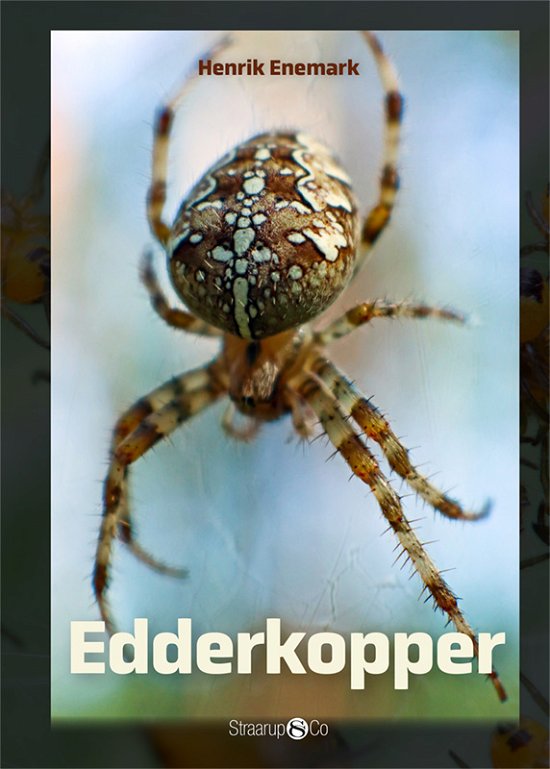 Maxi: Edderkopper - Henrik Enemark - Libros - Straarup & Co - 9788770187183 - 5 de mayo de 2020