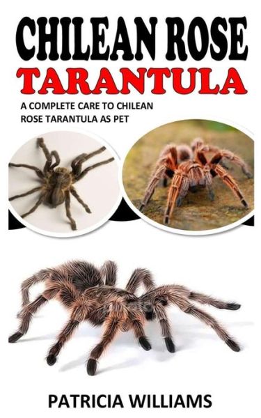 Cover for Patricia Williams · Chilean Rose Tarantula: A Complete Care to Chilean Rose Tarantula as Pet (Paperback Book) (2021)